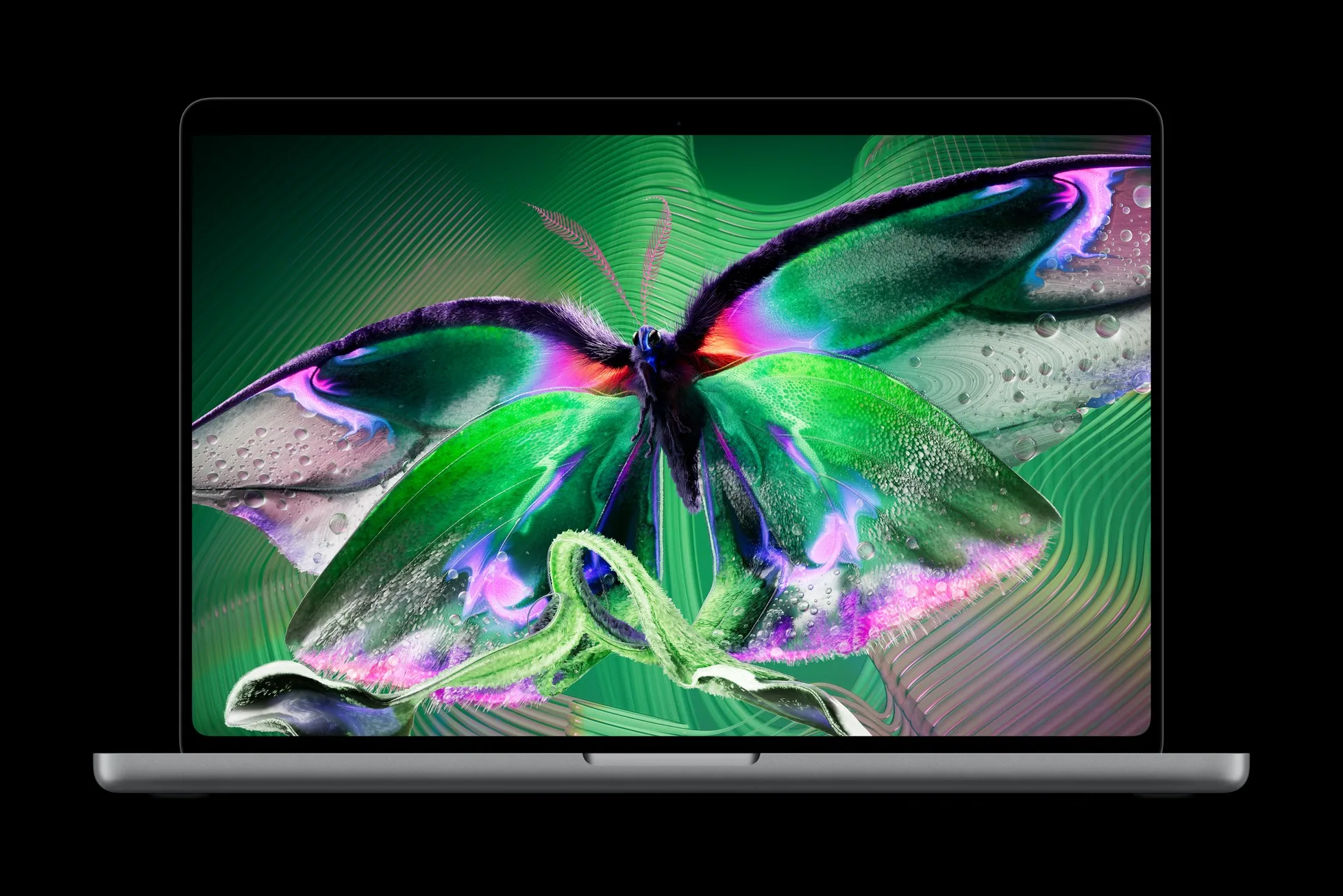 An open MacBook Pro with PROLED XDR Display, seen from the front, shows a vivid green and pink butterfly on a black background