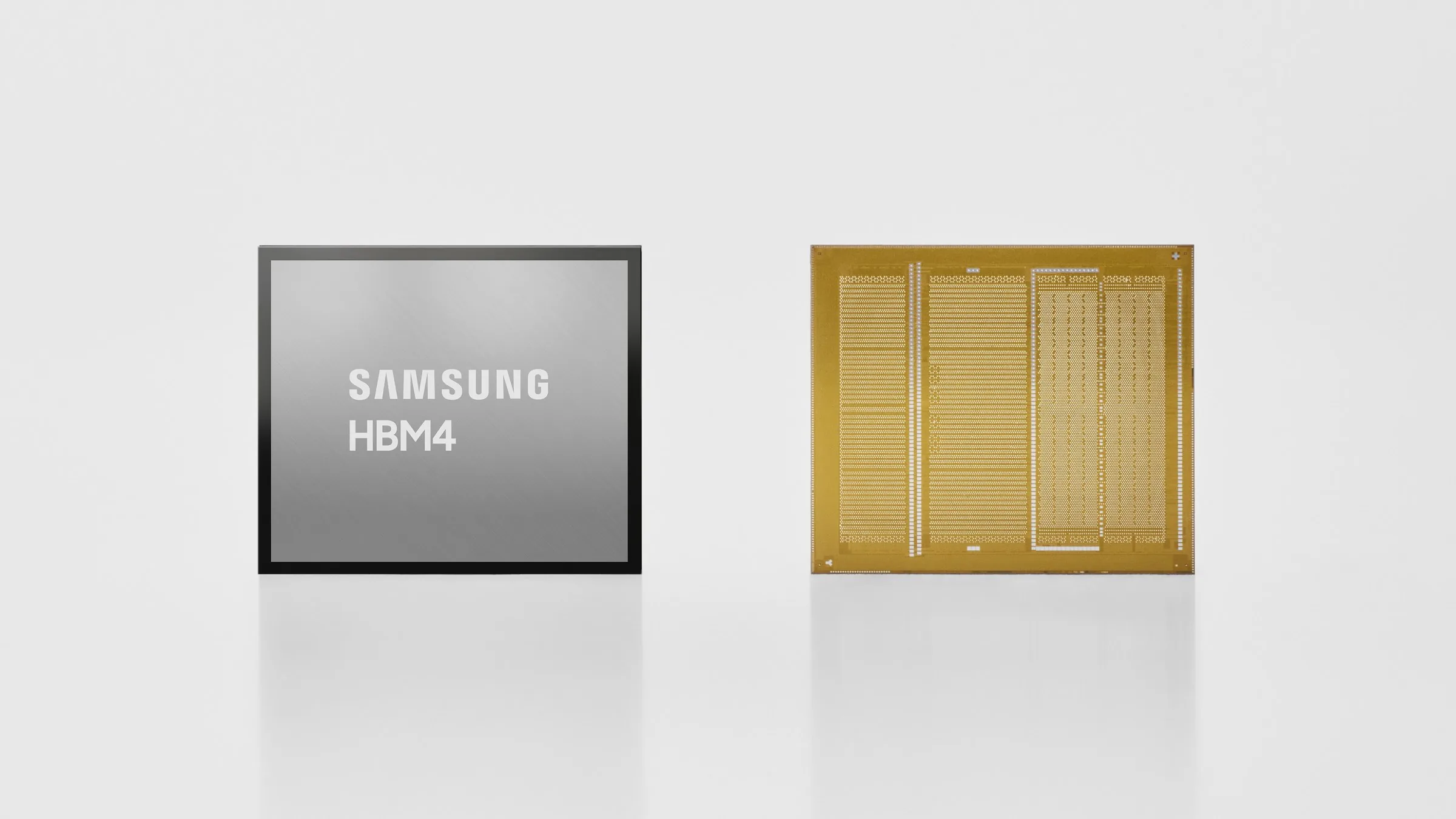 A Samsung HBM4 memory chip shown from the front, with its Samsung HBM4 label, and from the back, with its gold contact pattern, on a light gray background